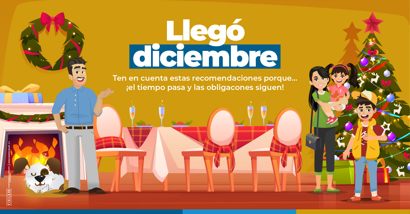 Recomendaciones Navidad Banner Web